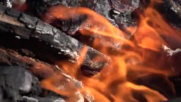 Пламя Огня Пылающий Огонь Дым Древесины Загрязнение Воздуха Пепел Крупным — стоковое видео