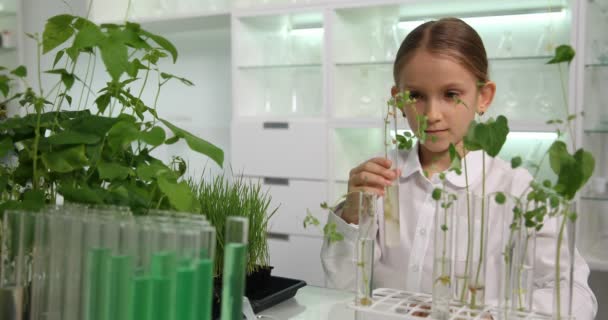 Παιδί στο Εργαστήριο Χημείας, School Kid Learning in Science Lab Growing Seedling Plants, Student Girl Studying Biology Education — Αρχείο Βίντεο