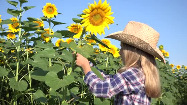 Bauernkind Sonnenblumenfeld Bauernkind Spielt Der Agrarernte Bauernmädchen Freien Der Natur — Stockvideo
