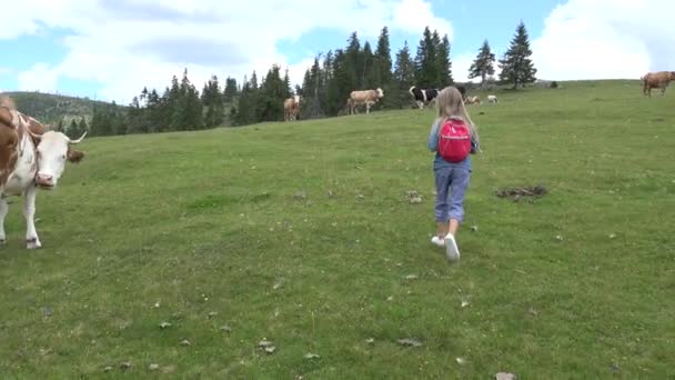 农场儿童放牛 山区牧场牛栏牛栏牛栏牛栏牛栏牧童 野外带动物的旅游小女孩 — 图库视频影像
