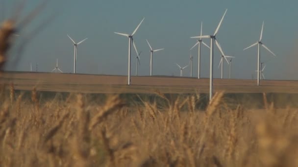 Windmühlen Windenergieanlagen Ökostromindustrie Energiekrise Landwirtschaft Weizenfeld Generatorleistung — Stockvideo