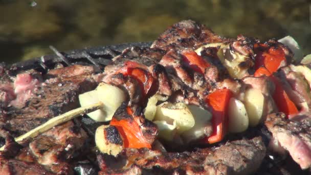 ピクニックのグリル フライドチキン バーベキューの豚肉 バーベキューの串焼き Bbqの肉 山の中の川でキャンプで調理された食べ物 — ストック動画