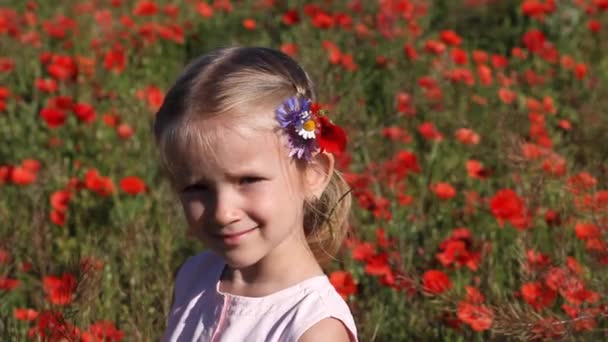 Ragazzo Nel Prato Papavero Ritratto Bambino Nel Campo Dell Agricoltura — Video Stock