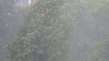 Şiddetli Sağanak Yağmur, Yağmur, Şehirde Su Baskını, Fırtına, Yağmurlu Gün, Doğada Fırtına, Bulutlu Kötü Hava