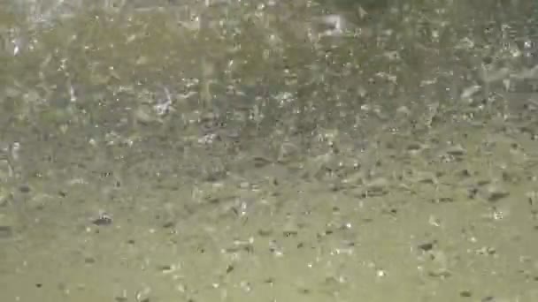 Starker Sintflutartiger Regen Regen Überschwemmungen Der Stadt Überschwemmungen Sturm Regentag — Stockvideo