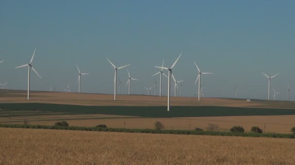 Vindkraftverk Vindkraftverk Grön Industri Energikris Jordbruk Vetefält Generator Power — Stockvideo