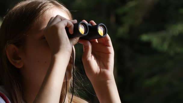 Criança usando binóculos na floresta de montanhas, criança turística caminhadas no acampamento, trilhas alpinas de madeira, menina viajando em viagem, excursão — Vídeo de Stock