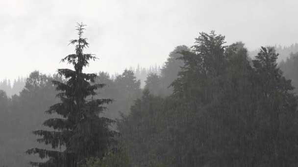 Chuva Nas Montanhas Nuvens Nevoeiro Místico Dia Chuvoso Nublado Floresta — Vídeo de Stock