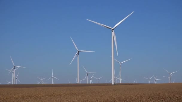 Molinos Viento Turbinas Eólicas Agricultura Campo Generador Energía Electricidad Industria — Vídeos de Stock