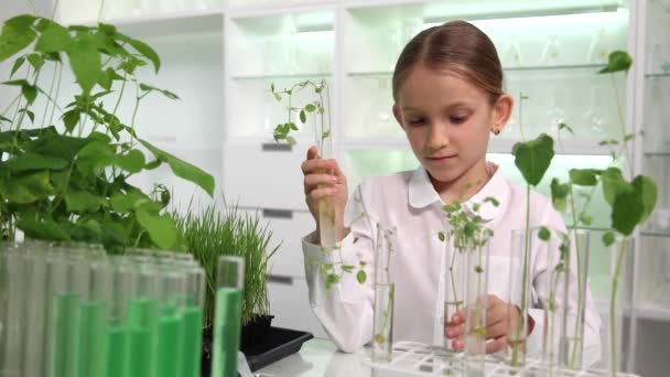 Sämlingspflanzen Anbauen Kid Planting Chemielabor Schulkind Science Lab Schülerin Studiert — Stockvideo