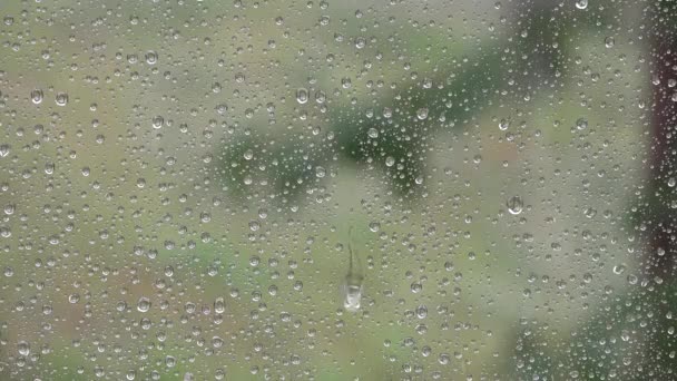 Zomerstortregen, Regen, Regendruppels op het venster, Hailstone Stormy, Regendag, Hagel, IJs Storm op glas, Triest weer — Stockvideo