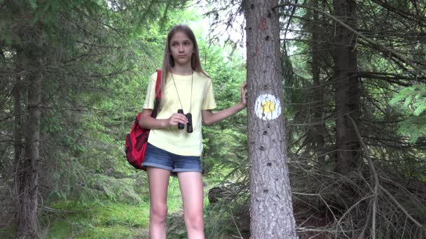 Kid pomocí binokuláru v horském lese, Turistické Dítě Turistika v kempu, Dřevěné Alpské stezky, Dívka Cestování v výlet, Exkurze — Stock video