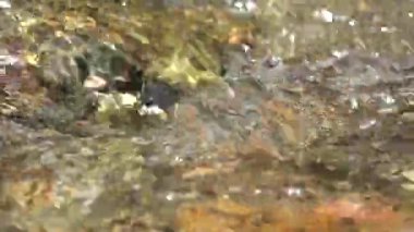 Dağ Nehri, Kristal Şelale Damlaları, Temiz Bahar Taze Suyu, Şeffaf Alp Akımı Dalgaları, Kristal Brook Kapanması