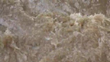 Inundation, Natural Calamity, Disaster, River in Mountains, Muddy Stream after Stormy Raining, Creek in Torrential Rain, Global Warming