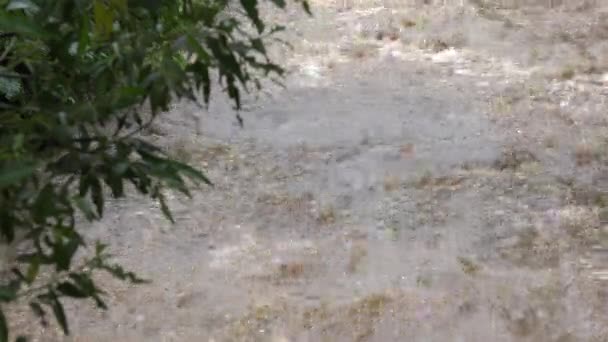 Inundation Natural Calamity Disaster River Mountains Muddy Stream Stormy Raining — Vídeo de stock