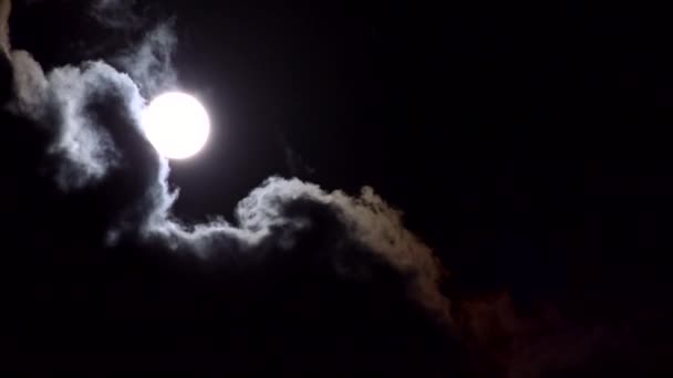 Lua Cheia Sobe em Nuvens no Céu Crepuscular, Vista Luz do Crepúsculo, Astrologia da Noite, Timelapse — Vídeo de Stock