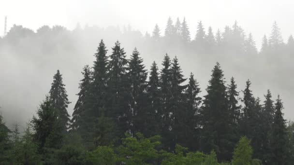 Regen Bergen Wolken Mystieke Mist Bewolkte Regendagen Mistige Bossen Stommige — Stockvideo