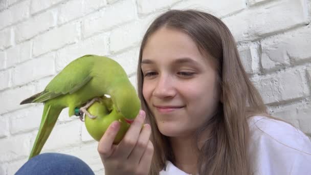 オウムはアップルを食べます アレクサンドリアパケット鳥は果物を食べます 子供は彼女のペットに餌を与えます 女の子はインドのリングネックで遊んで — ストック動画