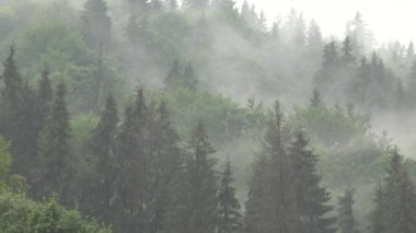Sis Yağmuru, Sisli Bulutlu Yağmur Günü, Su baskını, Dağlarda Sel Fırtınası, Sis Yağmuru, Yağmurlu, Bulutlu Kötü Hava Durumu