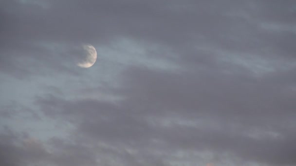Księżyc Pełni Wschodzi Chmurach Crepuscular Sky Dusk Light View Wieczorna — Wideo stockowe