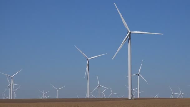 Molinos Viento Turbinas Eólicas Agricultura Campo Generador Energía Electricidad Industria — Vídeos de Stock