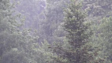 Yağmur, Şiddetli Yağmur, Su Baskını, Fırtına, Yağmur, Doğal Felaket, Felaket, Yağmur, Fırtına, Bulutlar Kötü Hava Durumu