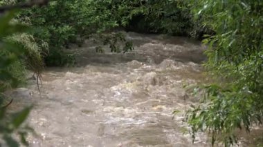 Su baskını, Doğal Afet, Felaket, Dağlardaki Nehir, Fırtınalı Yağmurdan Sonra Çamur Deresi, Şiddetli Yağmur, Küresel Isınma