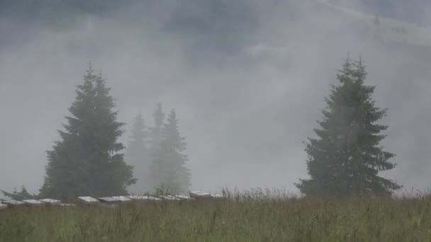 Fog Foggy Smoke Magic Mystical Glade Frosted Grass Meadow Mountains — Stockvideo