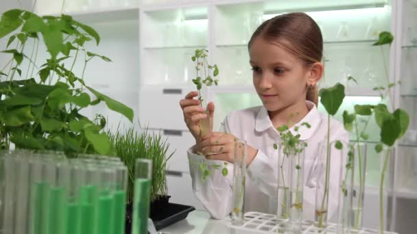 Sämlingspflanzen Anbauen Kid Planting Chemielabor Schulkind Science Lab Schülerin Studiert — Stockvideo