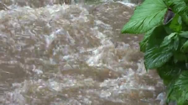 Baskını Doğal Afet Felaket Dağlardaki Nehir Fırtınalı Yağmurdan Sonra Çamur — Stok video
