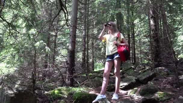 Kid Using Binoculars Mountains Forest Child Hiking Camping Wood Alpine — Stock video