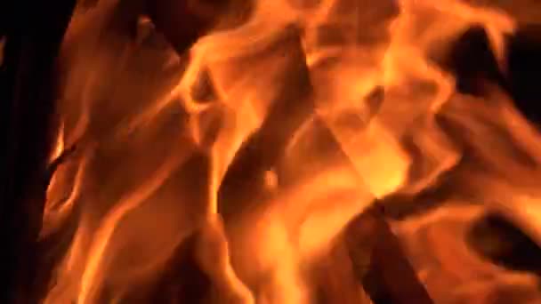 Fire Wood Burning Fire Lighting Flames Smoke Heat Air Pollution — 비디오