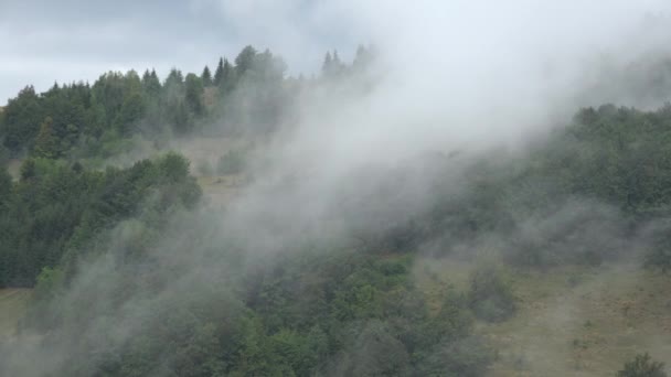 Ομίχλη Στα Βουνά Βροχή Στο Δάσος Καπνός Μυστική Θέα Ομίχλη — Αρχείο Βίντεο