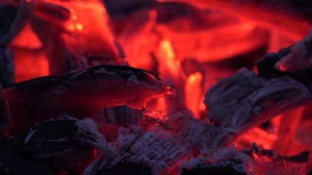 Fire Ash Wood Burning Fire Lighting Flames Smoke Heat Air — Stockvideo