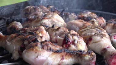 Grill View for Picnic at Camping, Frying Chicken, Fresh Meat and Fat on Barbecue, Cooking Street Fast Food