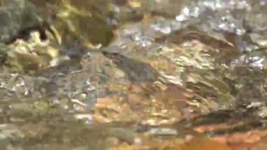 Crystalline Brook, River Water Closeup in Mountains, Clear Spring Fresh Waterfall, Transparent Alpine Stream Waves, Crystal Drops