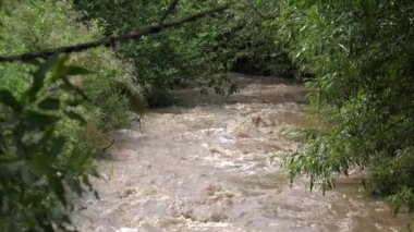 Inundation, Natural Calamity, Disaster, River in Mountains, Muddy Stream after Stormy Raining, Creek in Torrential Rain, Global Warming