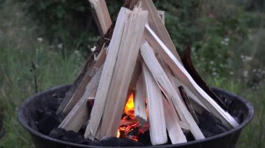 Fire, Wood Burning Fire for Grill, Preparing Roasting Meat, Barbecue at Camping in Mountains, Picnic in Alpine Adventure