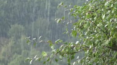 Şiddetli Yağmur, Su Baskını, Şiddetli Yağmur, Şiddetli Yağmur, Doğal Felaket, Felaket, Yağmur, Fırtına, Bulutlar Kötü Hava Durumu