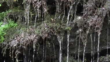 River Waterfall in Closeup in Mountains, Clear Spring Fresh Water, Transparent Alpine Stream, Crystalline Brook, Crystal Drops