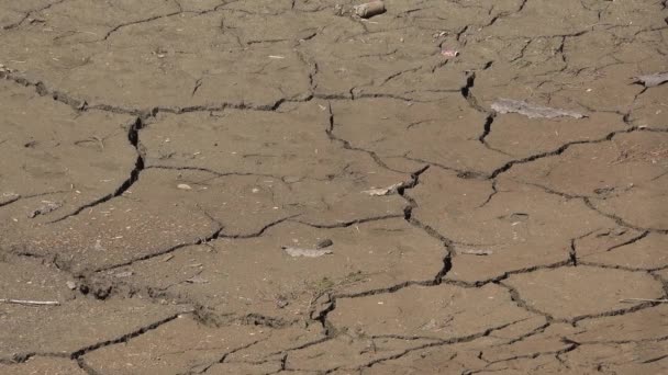 Water Crisis Aridity Mountain River Drought Natural Calamity Rain Disaster — стоковое видео