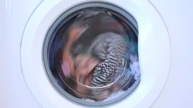 Çamaşır makinası yıkama, temizlik temizlik temizlik işleri, çamaşırhanede çalışmak, araba yıkama, ev işleri, sağlık hizmetleri.