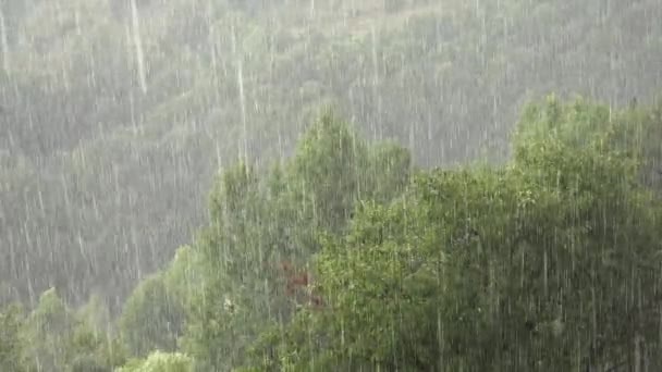 Regn Översvämning Översvämning Regn Storm Skyfall Naturlig Katastrof Katastrof Regn — Stockvideo