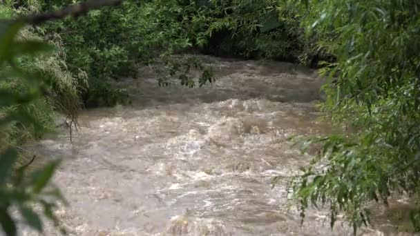 Inundation Natural Calamity Disaster River Mountains Muddy Stream Stormy Raining — Stock Video