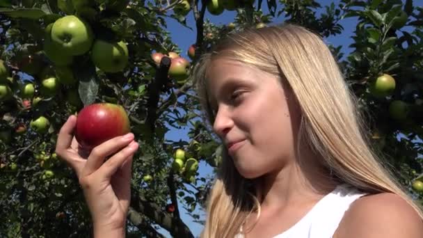 Κορίτσι Τρώει Μήλο Rustic Kid Orchard Δοκιμάζοντας Φρούτα Στο Δέντρο — Αρχείο Βίντεο