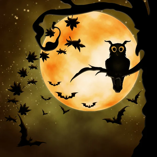 Halloween illustration with owl — Stock Photo, Image