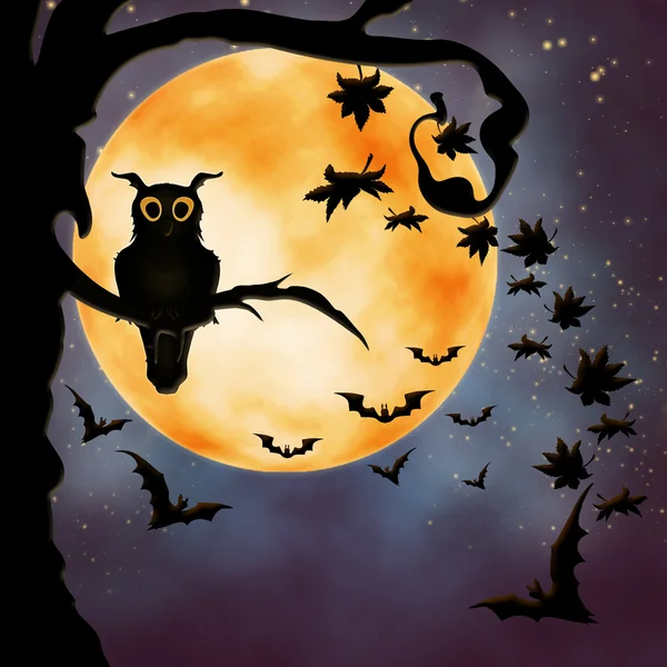Halloween illustratie met uil — Stockfoto