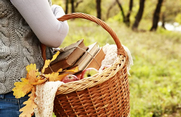 Closeup-Bild-Picknick-Korb in der Hand der Frau — Stockfoto