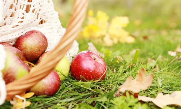 Manzana fresca madura en la hierba — Foto de Stock