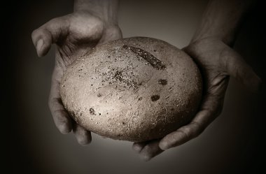 Bread in man hands clipart